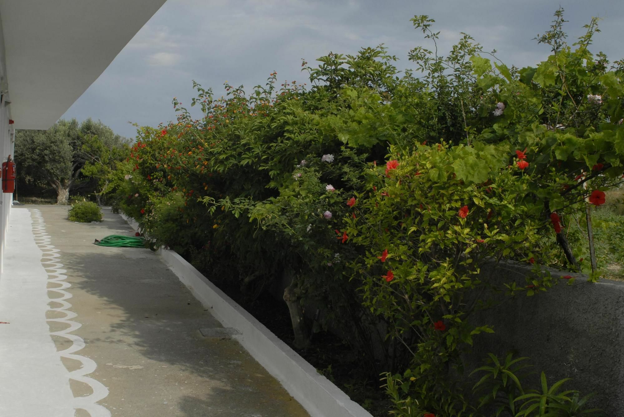 Ipokampos Apartment เคฟาลอส ภายนอก รูปภาพ